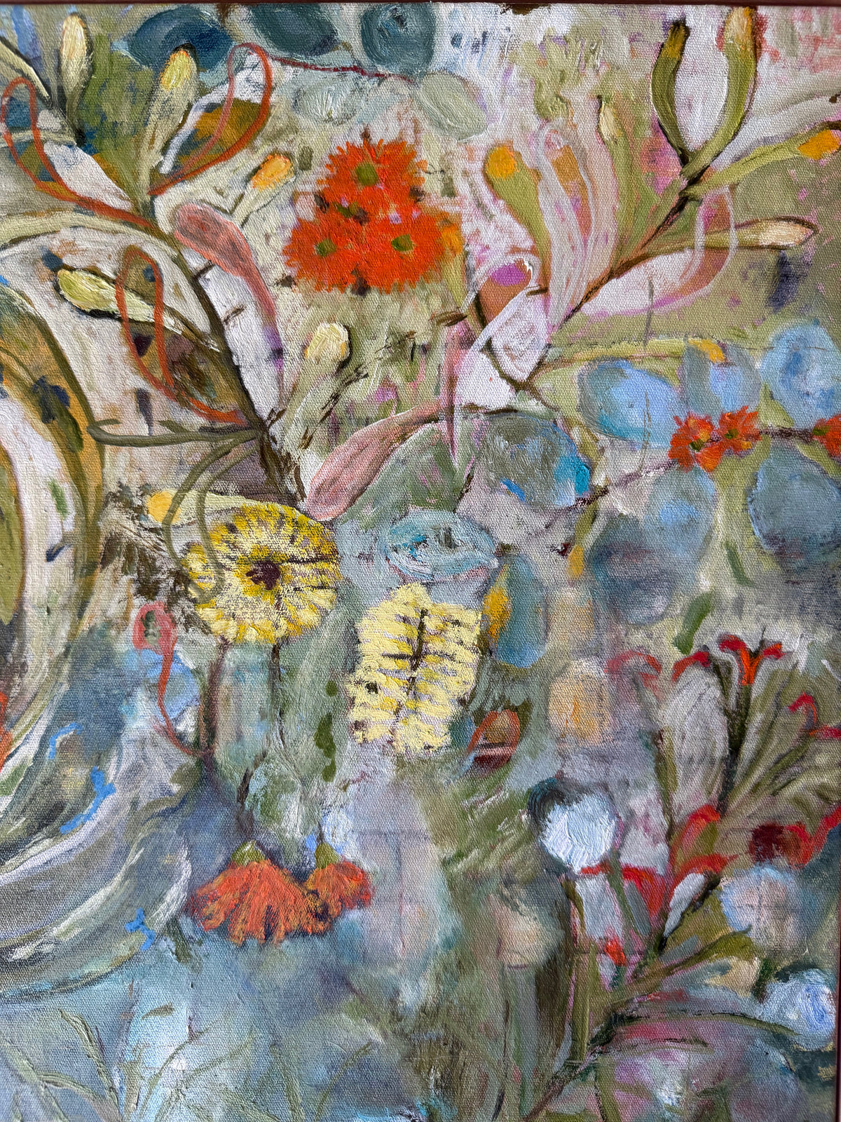 Waratah Wonder