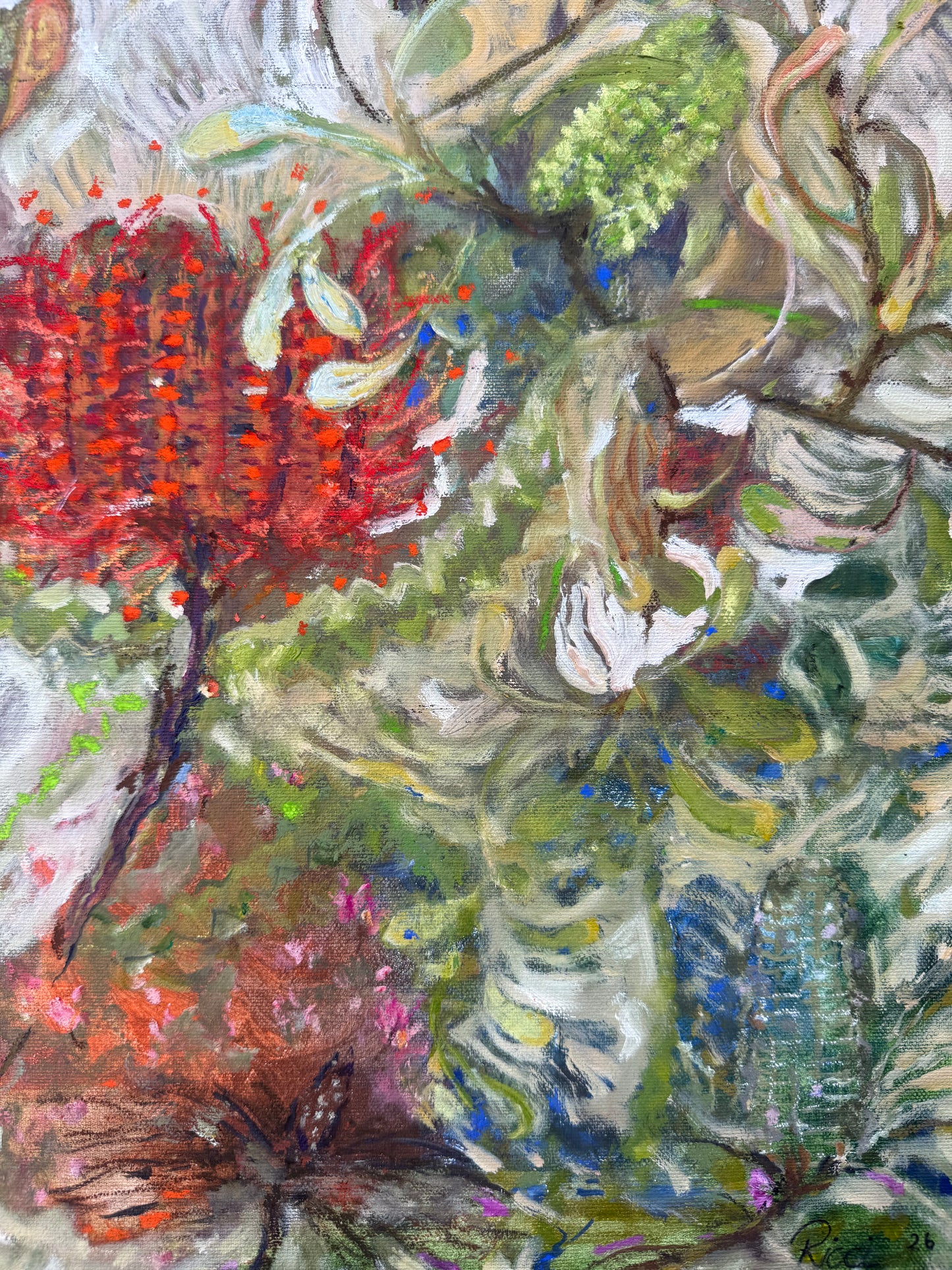 Where the Banksias Grow