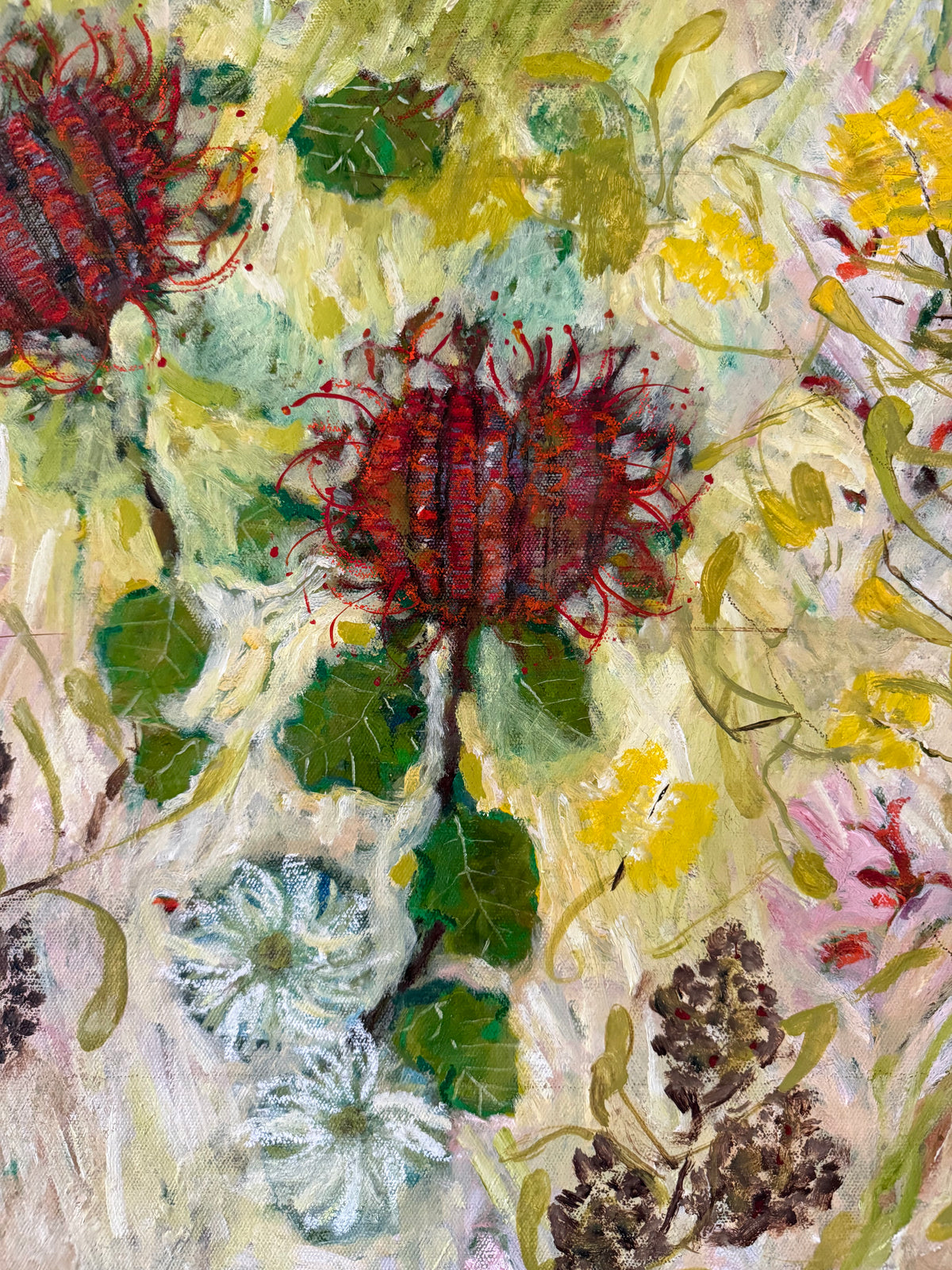 Among the Flannel Flowers