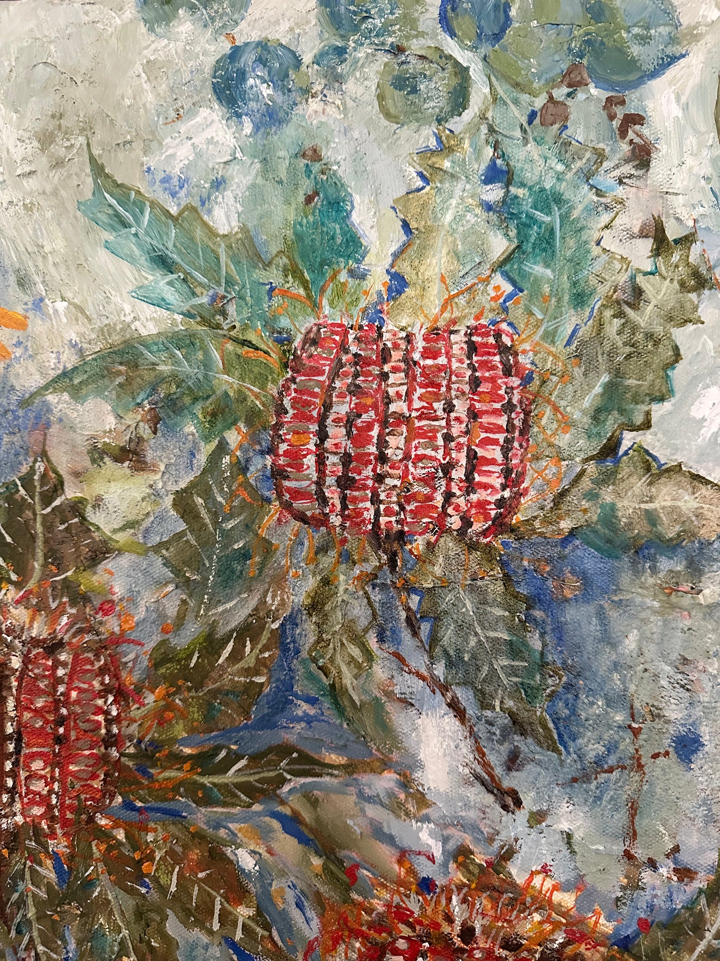 Banksia Coccinea