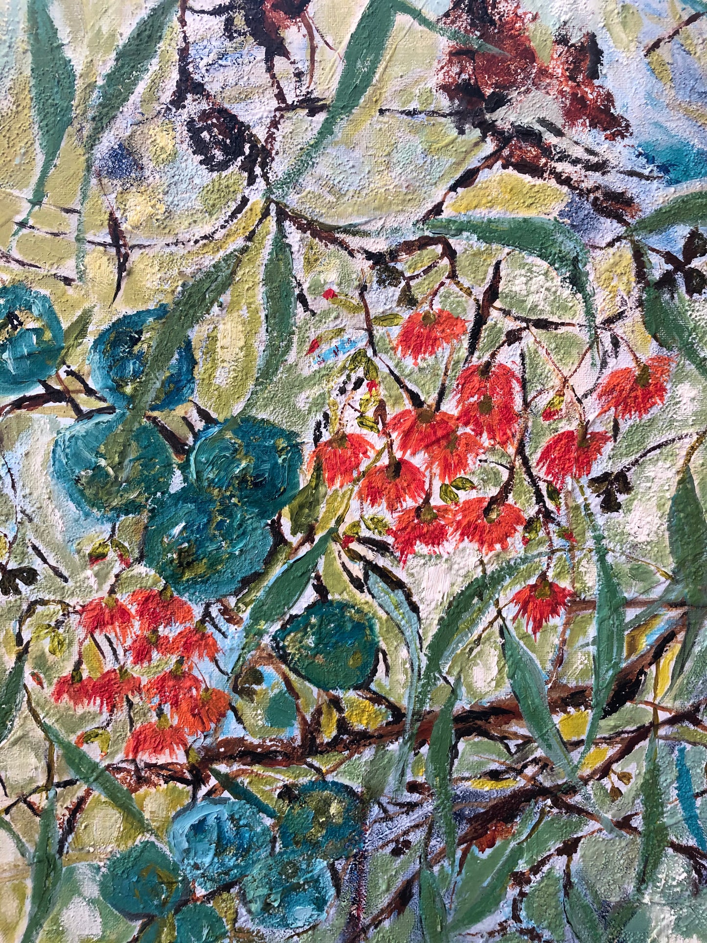 Last of the Flowering Gum