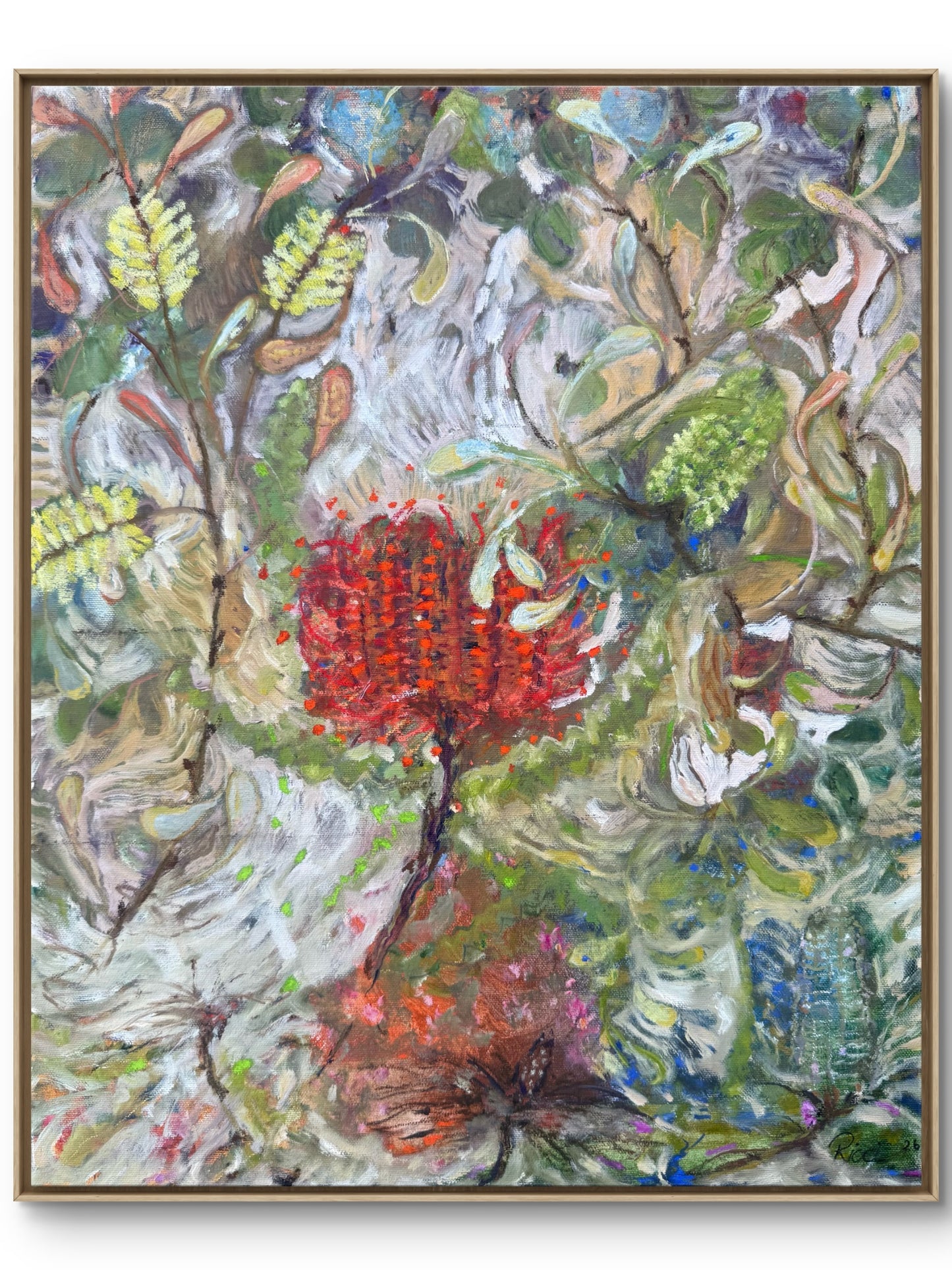 Where the Banksias Grow