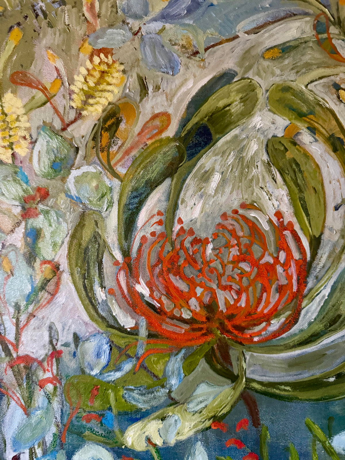 Waratah Wonder