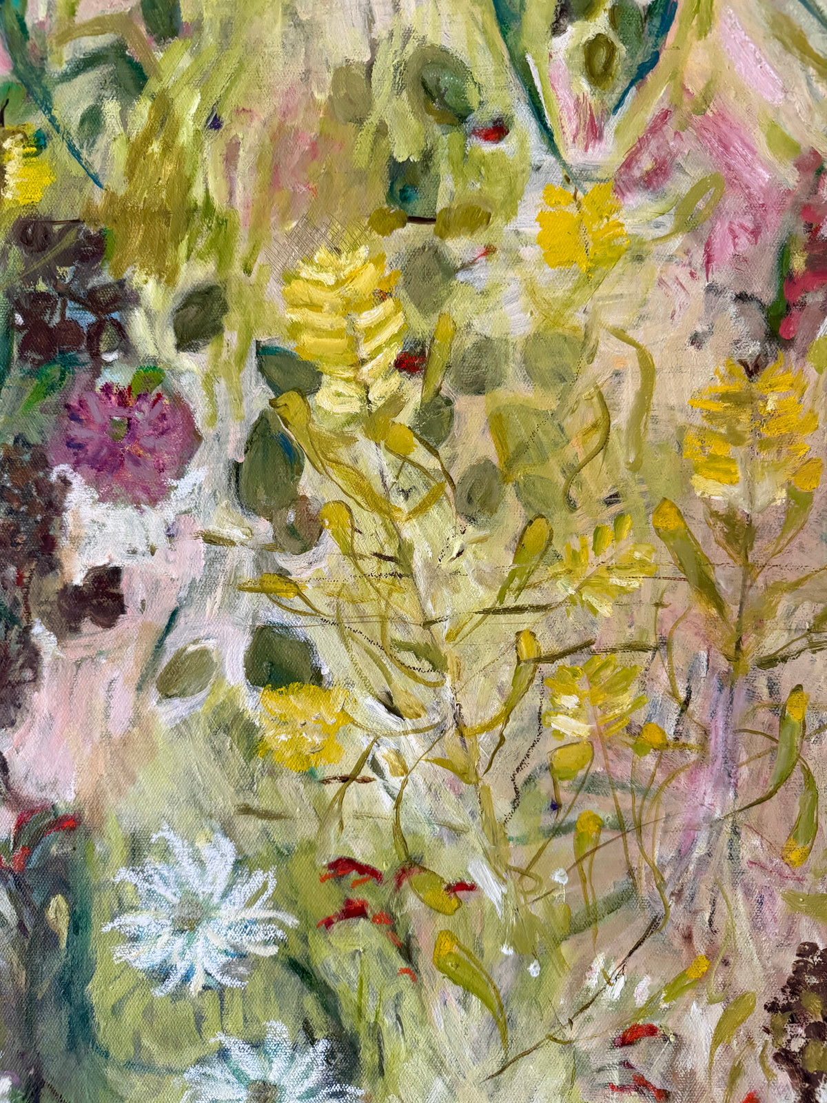 Among the Flannel Flowers